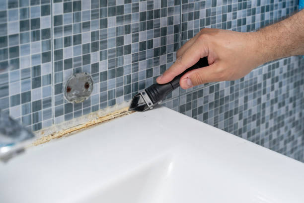 Best Toxic Mold Removal  in Noel, MO